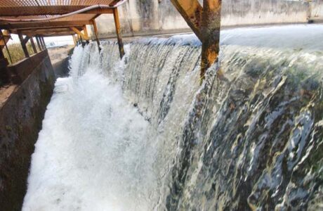 Auditor says costs of water authority proposal ‘unknown’